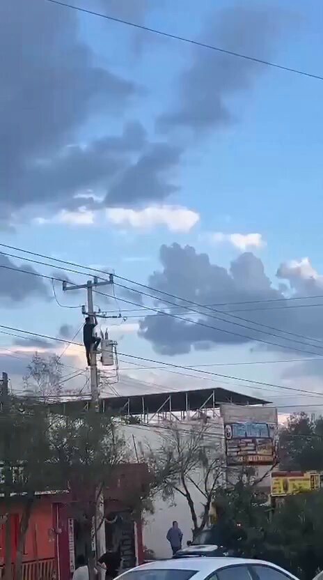 Un hombre intenta escapar de la Policía subiendo a un poste, pero sufrió una descarga eléctrica y cayó sobre una patrulla, en Juárez.