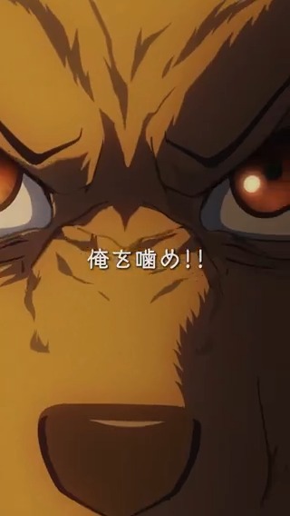 ◤◢◤◢◤◢◤◢◤◢◤◢◤◢◤◢ アニメ『#BEASTARS』シリーズ プレイバック🎥 ◤◢◤◢◤◢◤◢◤◢◤◢◤◢◤◢ 「俺を噛め！」 第1期各媒体で好評配信中🎥 完結作『BEASTARS FINAL SEASON』Part2は 2026年3月Netflixにて独占配信✨ ED主題歌：#SEVENTEEN「Tiny Light」 #bstanime