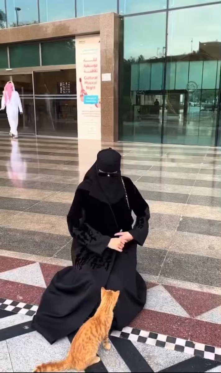 قط يتودد لفتاة، ومن لطافة الفتاة خلته على راحته. الله يحفظها، ويوفقها يارب.