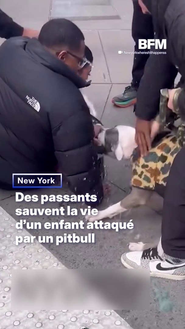 New York: des passants sauvent la vie d'un enfant attaqué par un pitbull