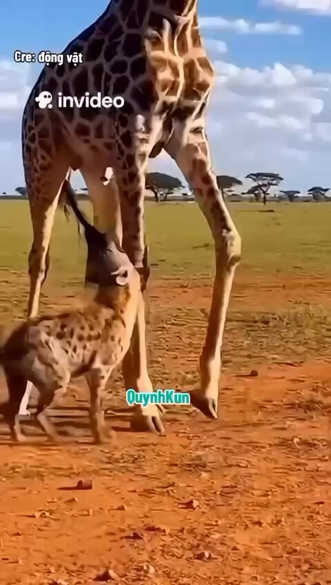 هذا جزاء المعتدين