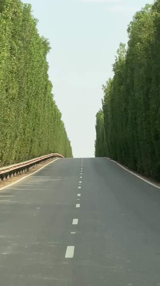 من اجمل شوارع الدولة ❤️