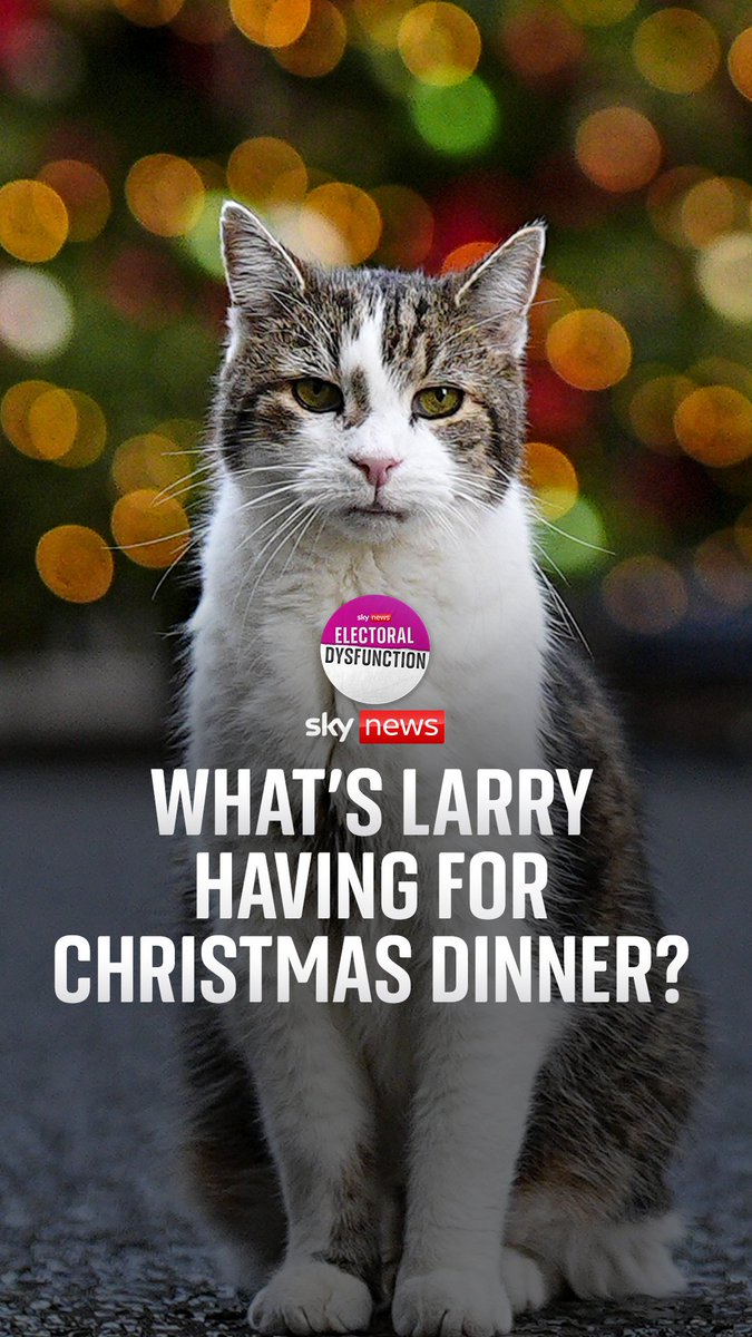 What does Larry eat on Christmas Day?😺 After a question from a listener, Beth Rigby got on the phone to No.10 to ask about this most pressing of national issues...🎄 Harriet Harman Ruth Davidson