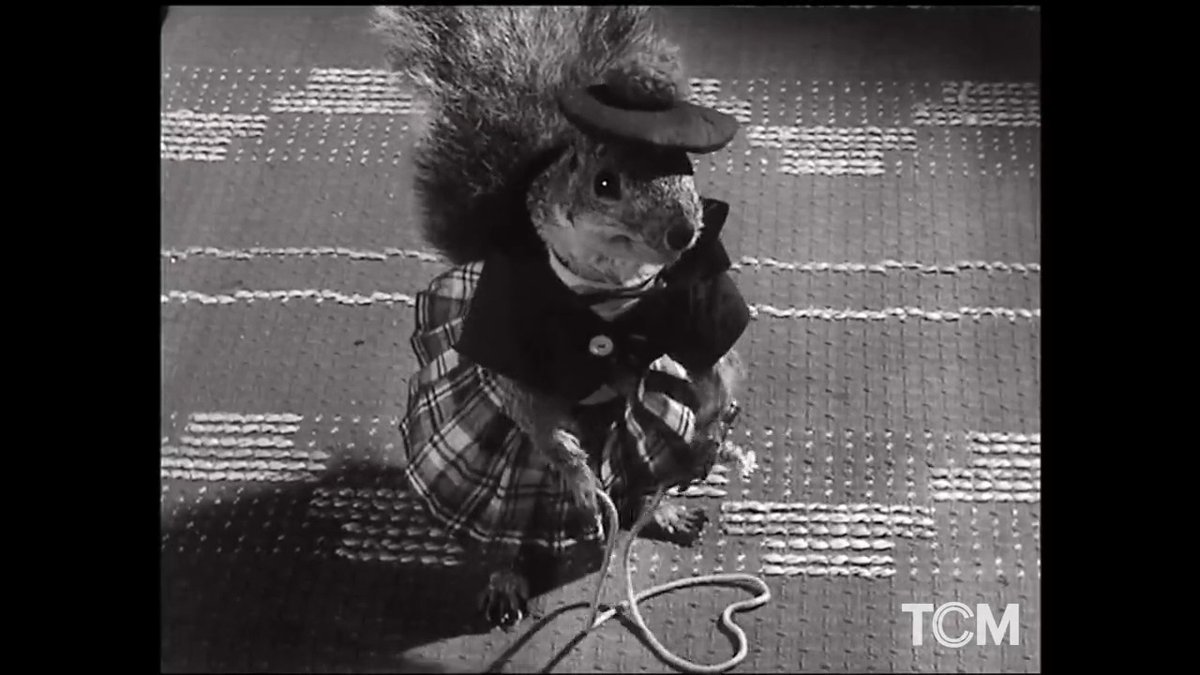 According to director of THE GREAT RUPERT ('50), Irving Pichel, the stop-motion animation used in creating the illusion of a dancing squirrel was so realistic, he received many inquiries as to where he got a squirrel that was trained to dance.