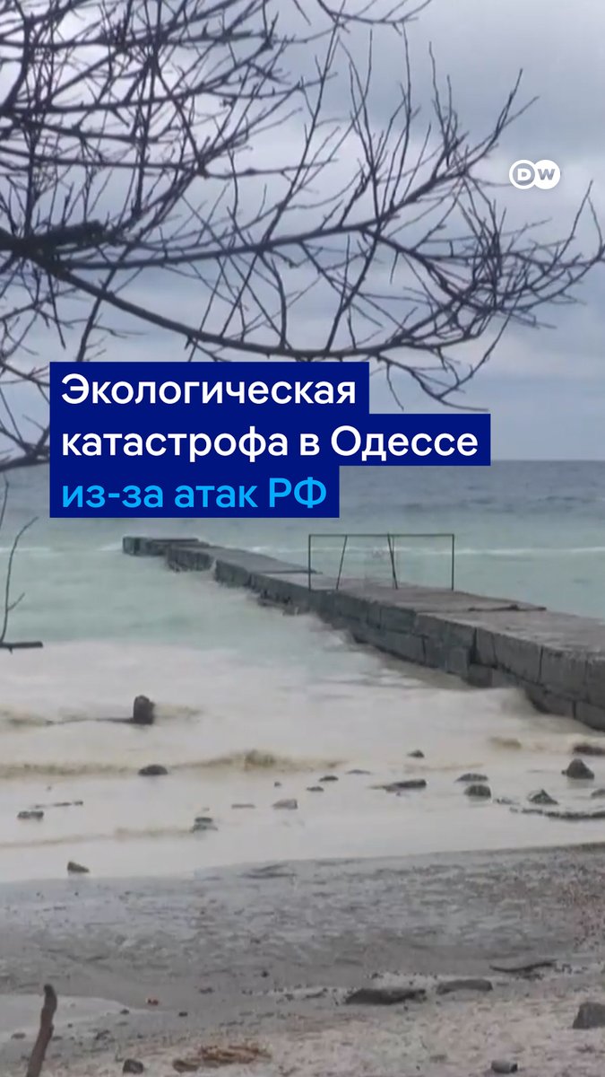 Экологическая катастрофа в Одессе. Из-за российских ударов по порту "Южный" в Черное море вытекли тонны растительного масла. Поверхность воды и пляжи покрыты жирной пленкой, что приводит к гибели птиц