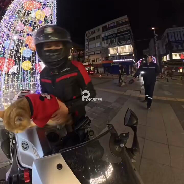 Motosiklet sürücüsünü erkek sanan bir adam, kucağındaki kediyi sevmek isterken sürücünün kadın olduğunu fark edince geri çekildi. "Kediyi sevecektim de, yanlış anlaşılır…"