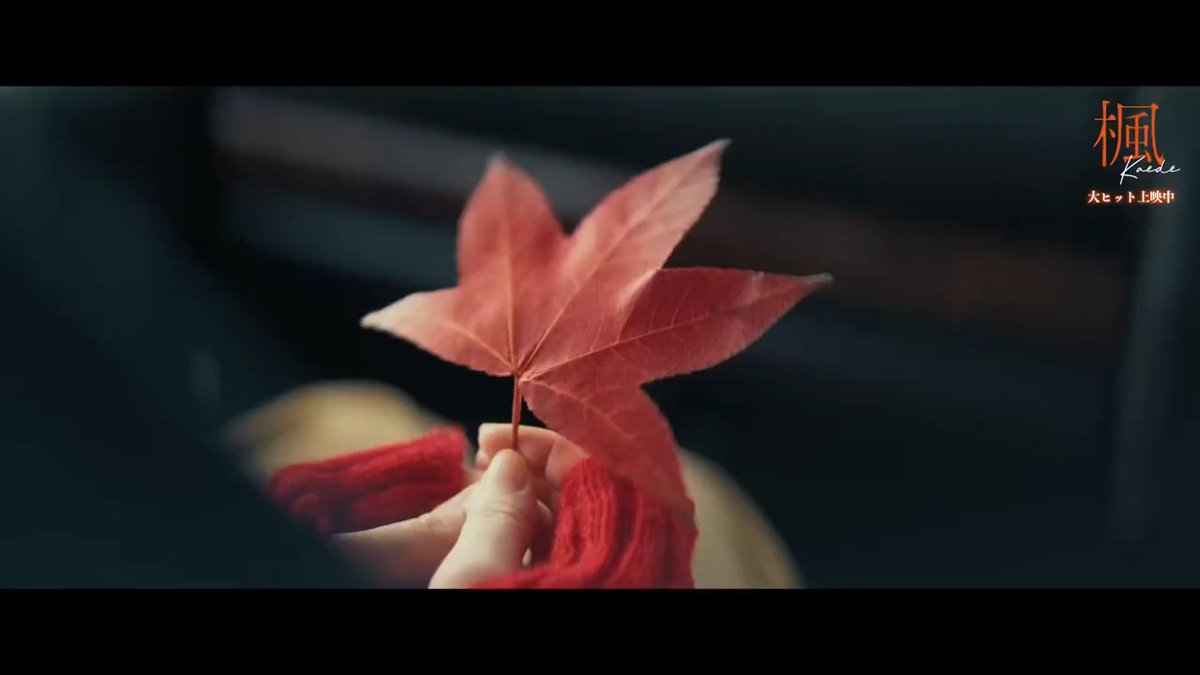 ⦕ 🍁#映画楓 感動の声続々！🍁 ⦖ ⋱#楓泣き が止まらない⋰ 皆様から届いた感想をご紹介🫧 劇場で感じた、 驚きと感動の瞬間 ── まだ体験していない方も、 すでに体験された方も、 この冬はぜひ劇場で ≪楓泣き≫を °·๐