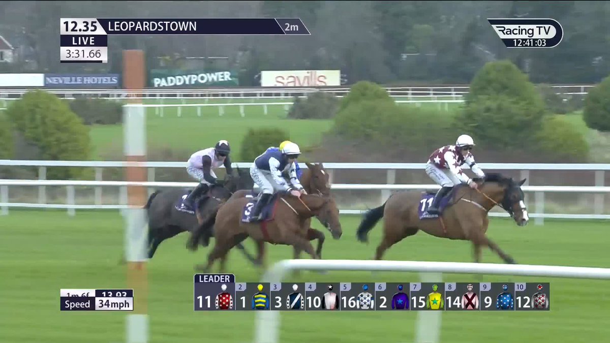 One of the most bizarre final hurdle falls you’ll ever see from EL CAIROS My word he looked a rocket didn’t he though? Wouldn’t be at all put off him for the big ones in March.