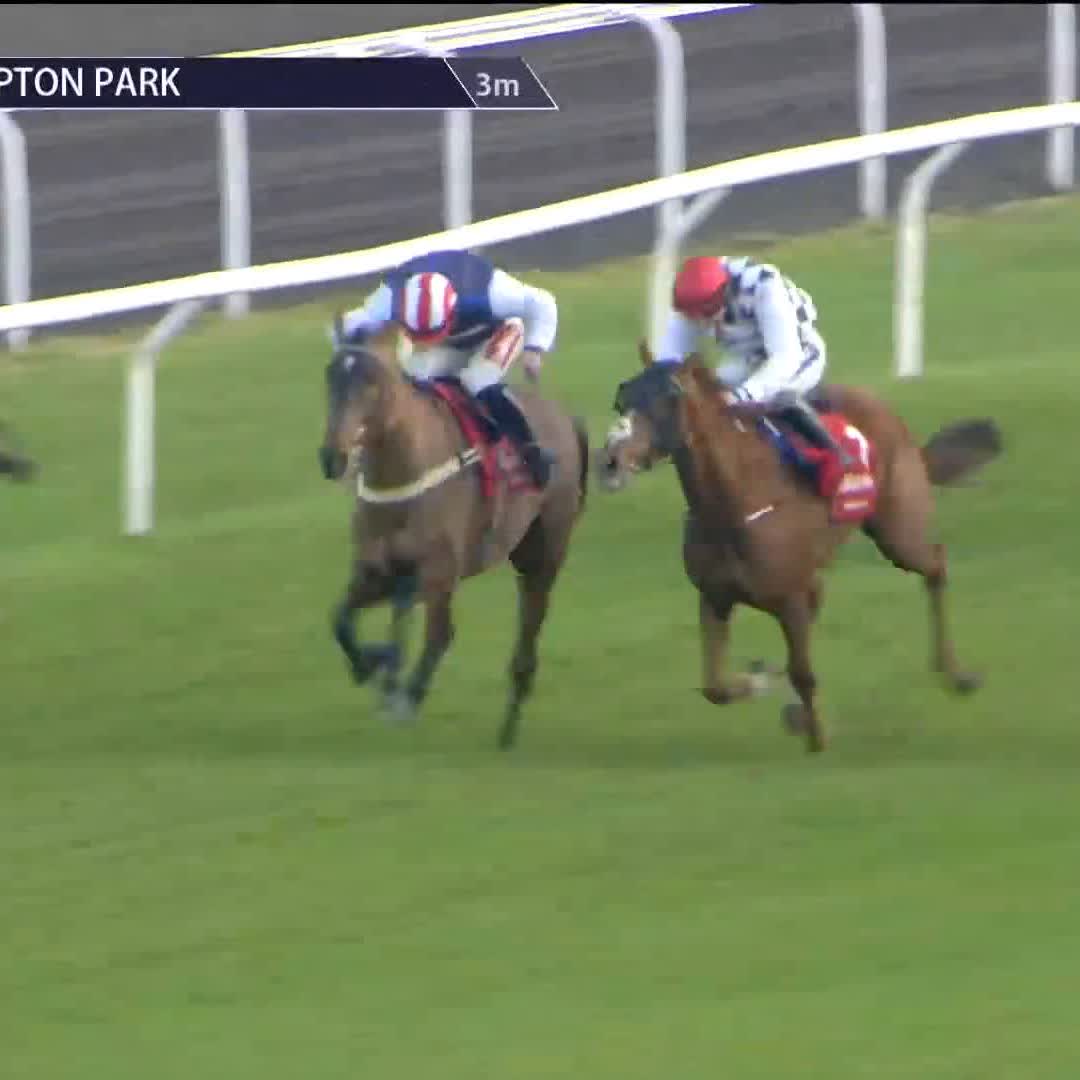 Paul Townend nearly dropped his whip in the closing stages 👇🏻