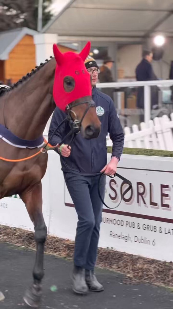 What a performance from Romeo Coolio and jack kennedy in the Grade 1 @racingpost Novice Chase Leopardstown RC 🤩 a second grade 1 this season for the KTDA Racing owned gelding 👏🏻👏🏻