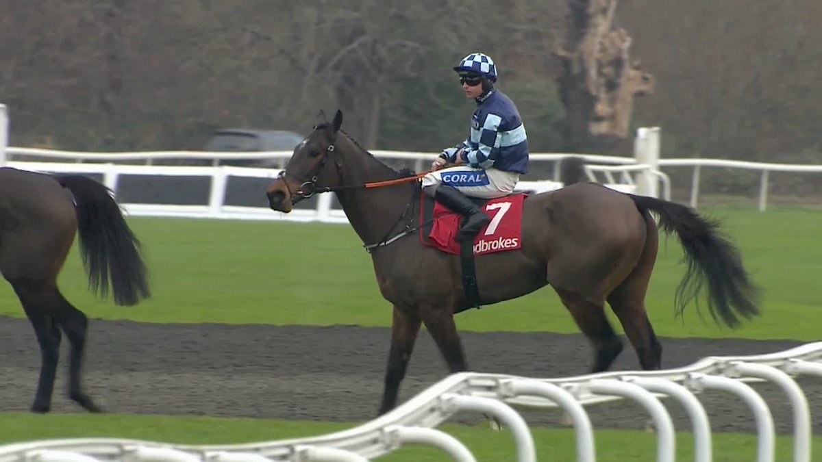 Some Boxing Day for oddschecker!🤩 ✅ BARLOVENTO 5/1 ✅ ALFIE'S PRINCESS 3/1 ✅ INDEEVAR BLEU 2/1 ✅ FORTUNATE MAN 9/2 ❌ ZAINY CHAMP Sadly no clean sweep, but I am buzzing with those results! One of the great days.