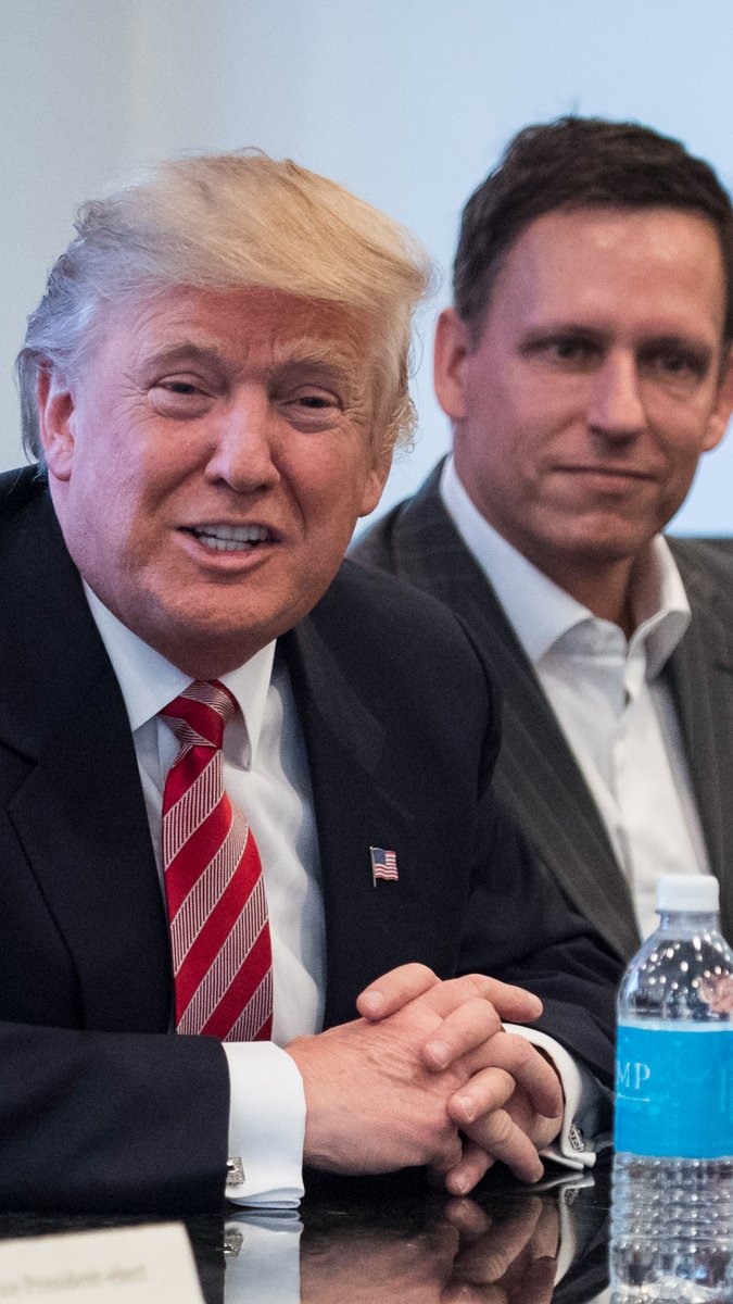 Meet Peter Thiel, co-founder of Palantir — the tech company Trump has enlisted to build the largest government surveillance system in U.S. history.