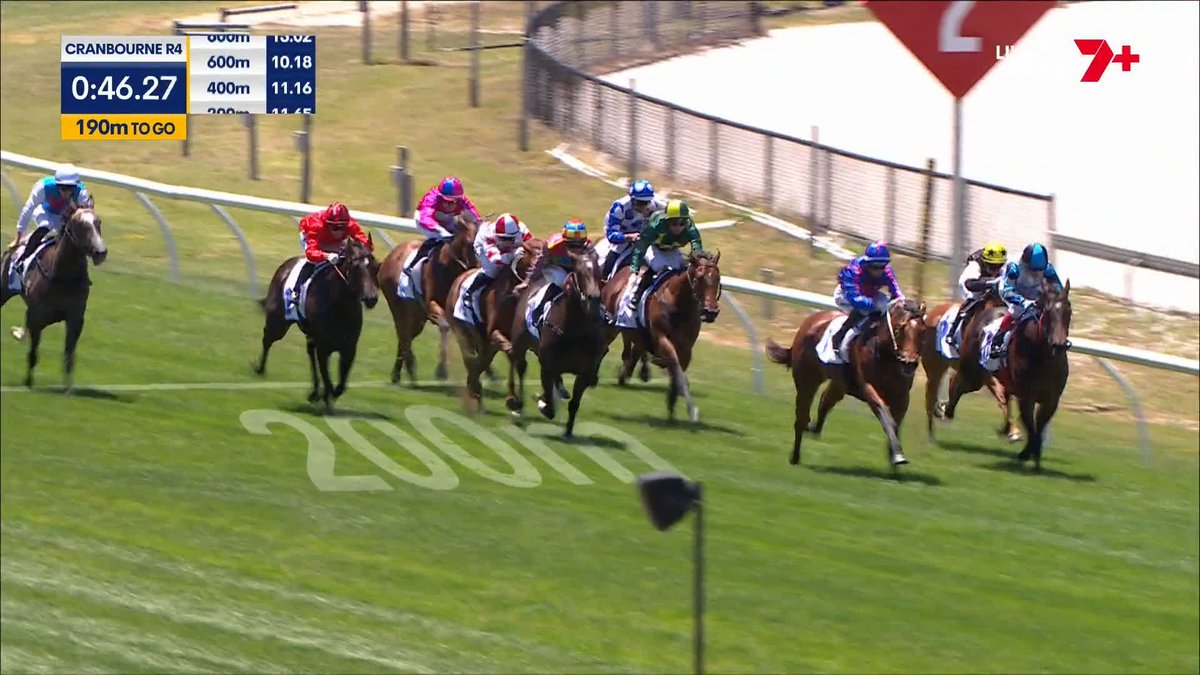 Guest House justifies the short quote on debut with a soft win! Jamie Melham with an early double and the Price/Kent yard with a smart one 👌 Jamie Melham Price Kent Racing