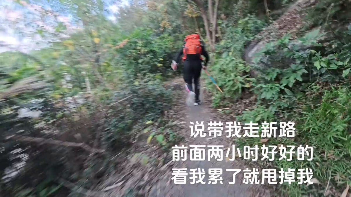 一位网友分享了自己的遭遇：在抖音找的爬山搭子极不靠谱。说带他走新路，结果爬了两小时后，见他累了竟转身就跑，试图甩掉他。该网友起初以为是在开玩笑，大声呼喊却追不上，最终跟随两路人原路返回，并将对方好友删除。 网友评论，称不要随意加入陌生群组约人同行，他们会把你拉爆，就像你视频这种，一旦你走不动或迷路，就会要求你转账，不知道真假，反正挺恐怖的。