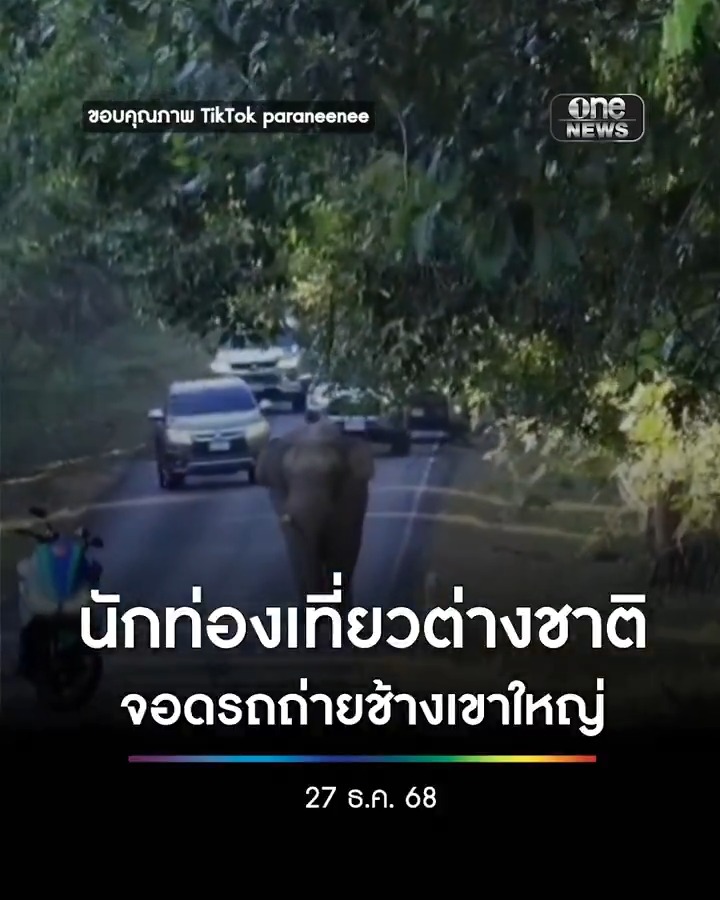 นักท่องเที่ยวต่างชาติ จอดมอเตอร์ไซค์ขวางทางช้าง แล้วถ่ายรูป เหตุเกิดที่อุทยานแห่งชาติเขาใหญ่ จ.นครราชสีมา . #สำนักข่าววันนิวส์