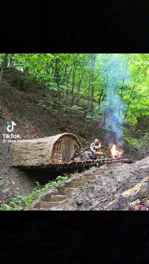 Forest survival shelter