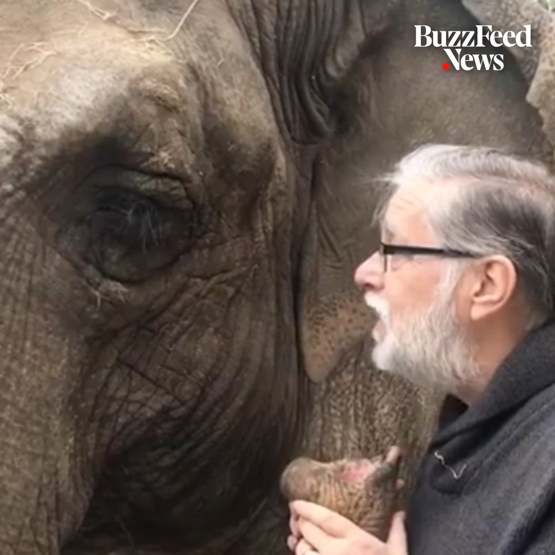 This 52-year-old elephant just met her old caretaker from the 1980s in this emotional reunion 🐘🤗❤️