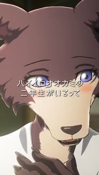 ◤◢◤◢◤◢◤◢◤◢◤◢◤◢◤◢ アニメ『#BEASTARS』シリーズ プレイバック🎥 ◤◢◤◢◤◢◤◢◤◢◤◢◤◢◤◢ 「凄くうれしい」 第1期各媒体で好評配信中🎥 完結作『BEASTARS FINAL SEASON』Part2は 2026年3月Netflixにて独占配信✨ ED主題歌：#SEVENTEEN「Tiny Light」 #bstanime