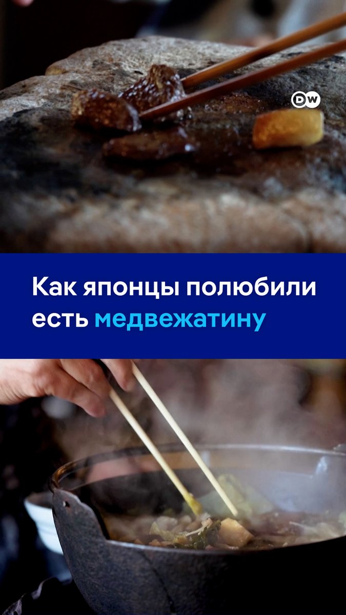 Медвежатина - новый тренд в Японии. Животные стали нападать на людей, и властям пришлось снять запрет на отстрел. Теперь японцы массово устремились за деликатесом в рестораны