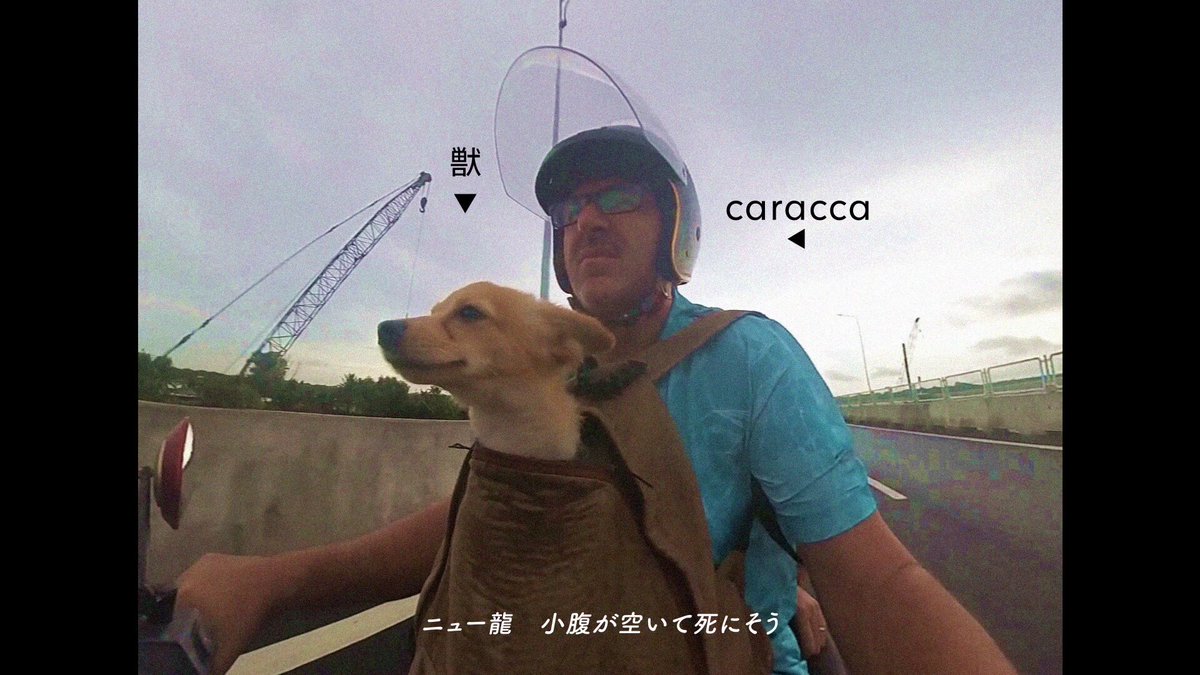 新曲『ニュー龍 feat.可不』 MVを投稿しました よろしくお願いします 【Youtube】 【niconico】 #vocanew #vocaloPost