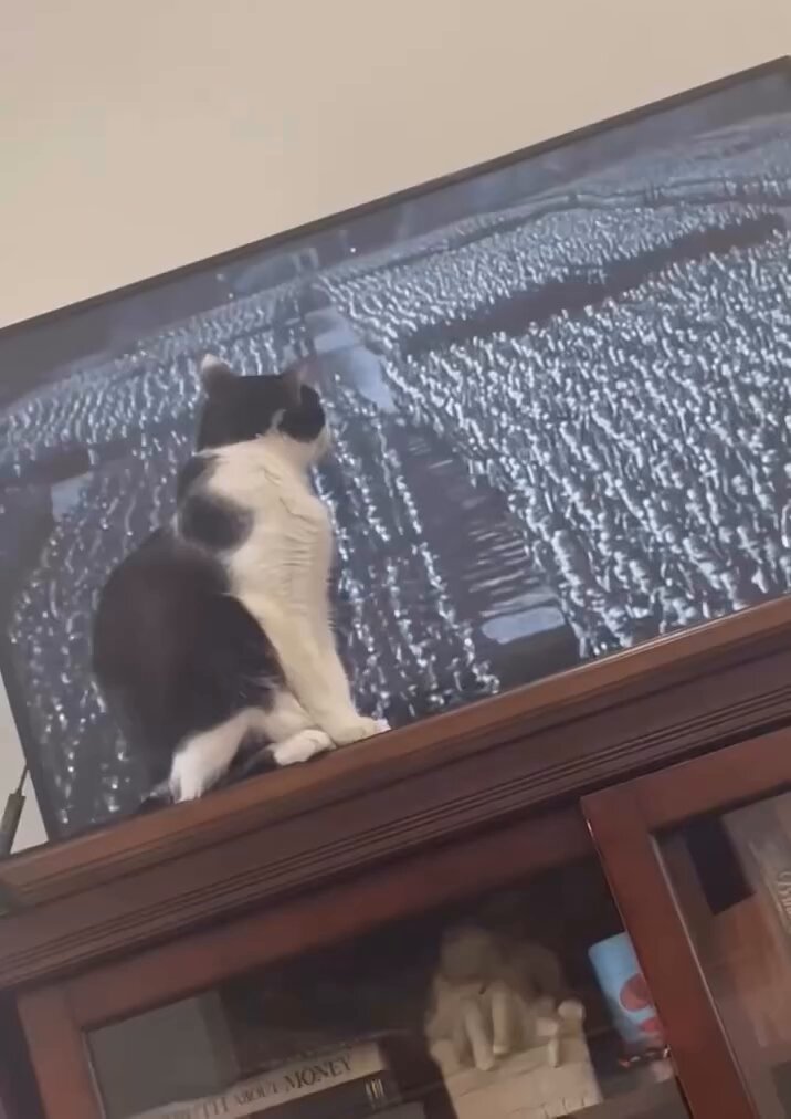 He was German in his previous life