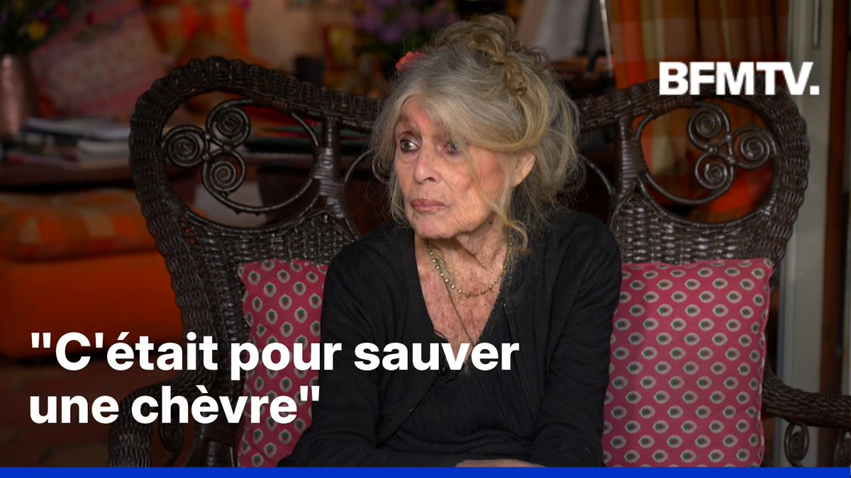 💬 "C'était pour sauver une chèvre" ➡️ Dans sa dernière interview donnée à BFMTV, Brigitte Bardot racontait comment elle a décidé d'arrêter le cinéma