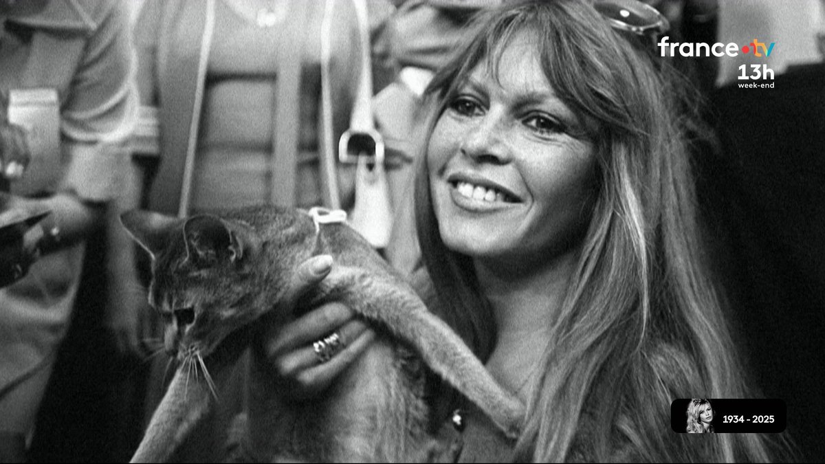 En 2014, Brigitte Bardot avait accordé une interview à Laurent Delahousse. Elle y évoque ses rapports avec les différents présidents de la République, toujours avec son franc-parler. C'est l'une de ses dernières apparitions publiques. #JT13H