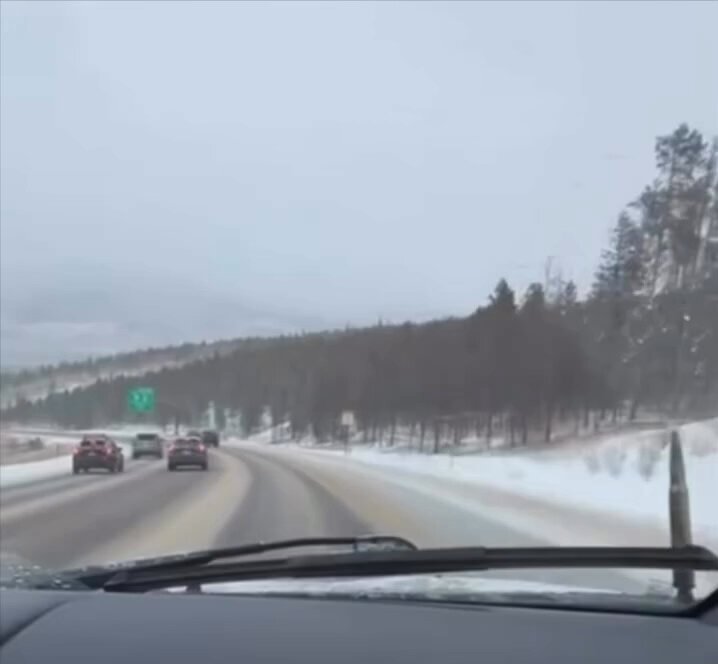 Welcome to Colorado. Where a lesbian in a Subaru is now your greatest threat. 😂😭❄️