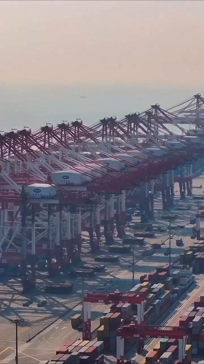 China has the largest automated container terminal. The Yangshan Deep Water Port: A $20B marvel of automation and scale, handling 14M containers/year.