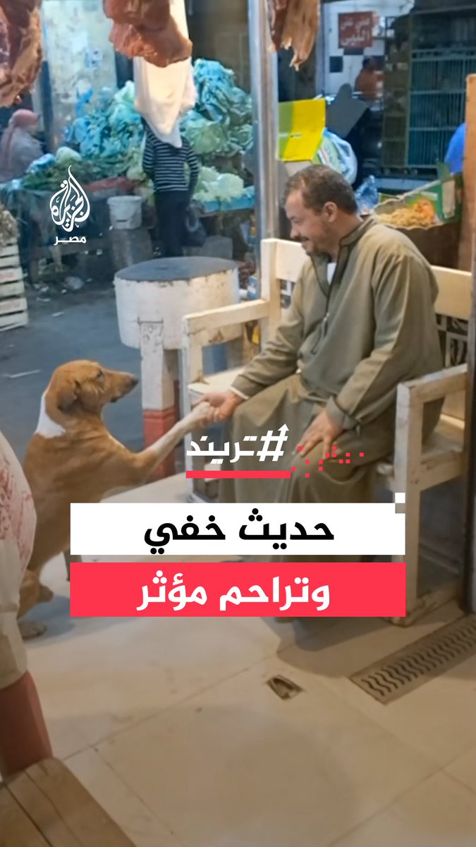 حوار صامت يجسد رحمة وإنسانية.. مشهد متداول لكلب يصافح بائعًا في محل جزارة ليثر تعاطفه فيهديه طعامًا