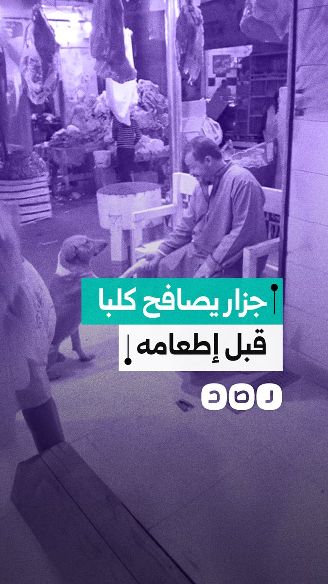 مشهد مؤثر في محل جزارة.. كلب يكسب طعامه بعد مصافحة البائع
