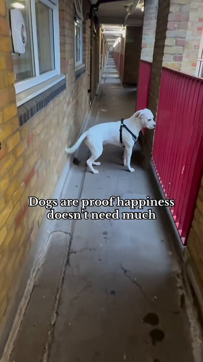 She's always a happy girl when her friends visit