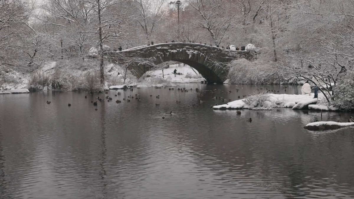 Scenes from (another) Central Park snow day! From sledding to skiing to skating, we loved seeing everyone out enjoying yesterday’s snow. ☃️ Check out our new and improved snow guide to plan your next snow day in the Park: