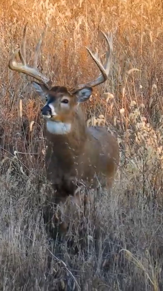 Dreaming of scenes like this. #Realtree