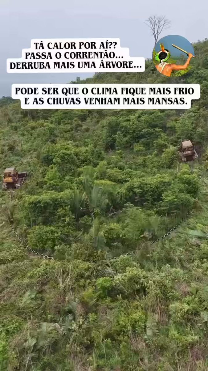 Tá calor? A culpa é do correntão, que consiste na utilização de cabos ou correntes densas, com extremidades presas a dois tratores que avançam de forma paralela sobre a vegetação nativa, destruindo tudo pela frente, transformando florestas em desertos!