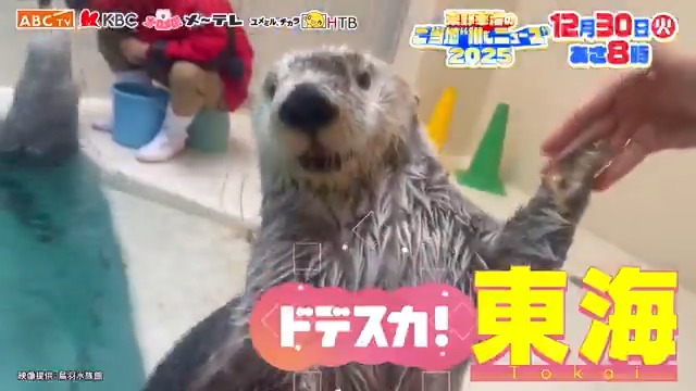 あす30(火)☀あさ8：00 『ドデスカ！SP #東野幸治 のご当地“推しニュース”2025』 ＼朝の4番組が大集結！／ 北海道 #イチモニ！ 東海 #ドデスカ！ 関西 #おはよう朝日です 福岡・佐賀 #アサデス。 今年1年をニュースで振り返る👀 メ～テレからは小松﨑アナが出演します🎶