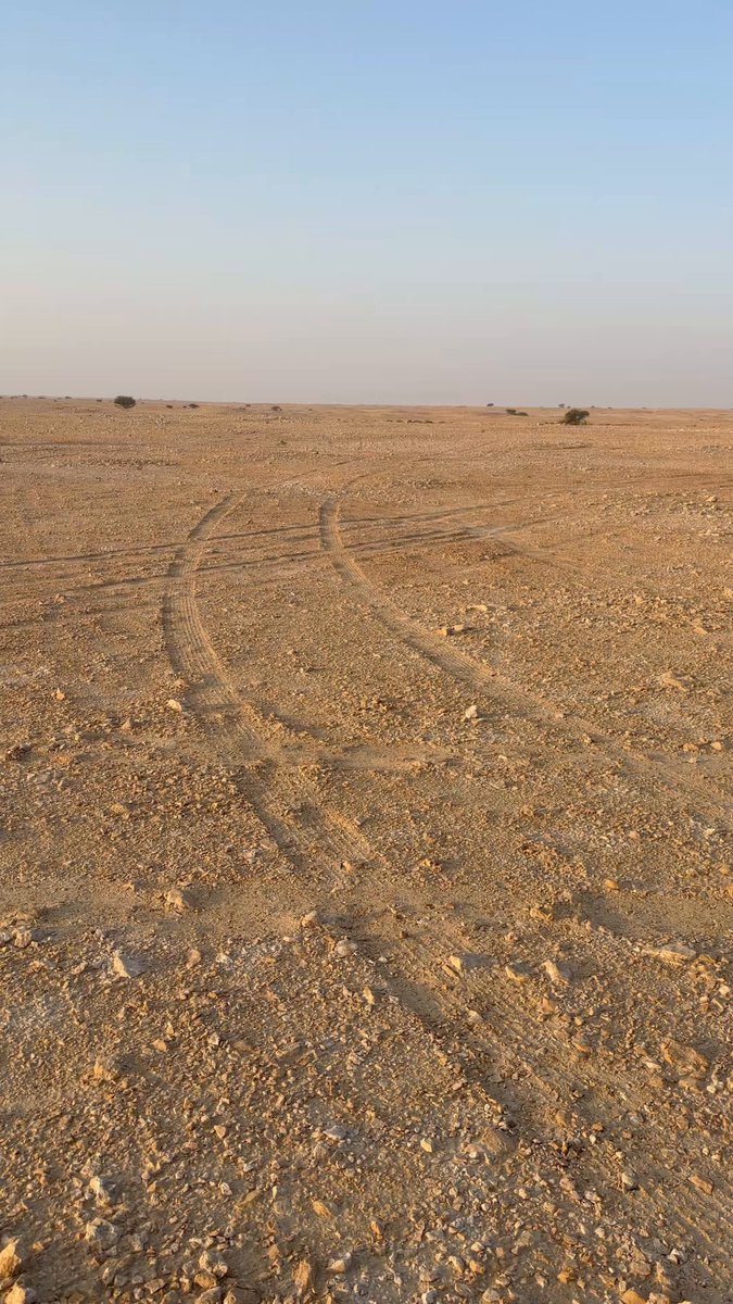 انا اليوم سحرت الفجر قانص لظبا. وتلحمدالله توفقت بظبي وصته حصلت ثره في روضة الخرسعة الزور وقصيته وحصلته في روضة ذيبان ثورت عليه ابنقي البرنو وصته وخليت الصبيان يسون غداء في روضة ذيبان والان اعزم البادي لايفوته الغداء الجو بارد هوا نسناس شمالي ويبغي ضرب بالخمس 🌹❤️🌹