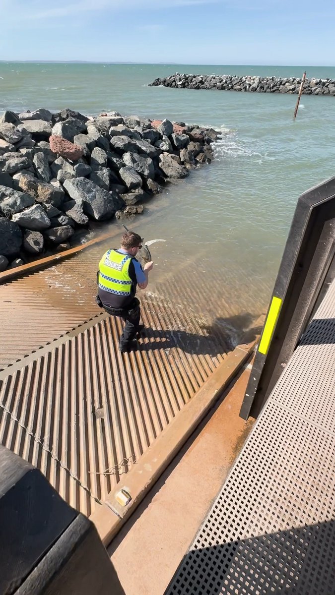 Just keep swimming! 🐢🌊 On 27 December at 4:00 pm, Karratha Police found a wild turtle that had been captured and abandoned in Millars Well. Officers released it at Karratha Back Beach, where it returned to the ocean without injury.
