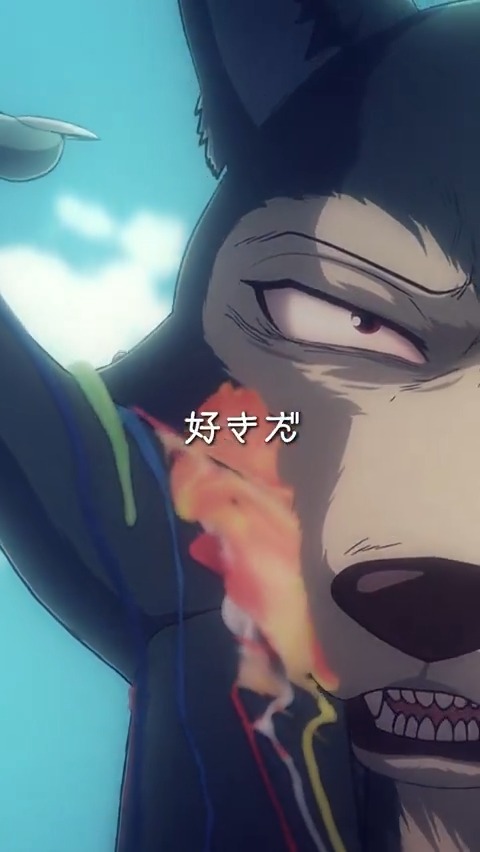◤◢◤◢◤◢◤◢◤◢◤◢◤◢◤◢ アニメ『#BEASTARS』シリーズ プレイバック ◤◢◤◢◤◢◤◢◤◢◤◢◤◢◤◢ 「俺は君が好きだ」 第1期各媒体で好評配信中🎥 完結作『BEASTARS FINAL SEASON』Part2は 2026年3月Netflixにて独占配信✨ ED主題歌：#SEVENTEEN「Tiny Light」 #bstanime