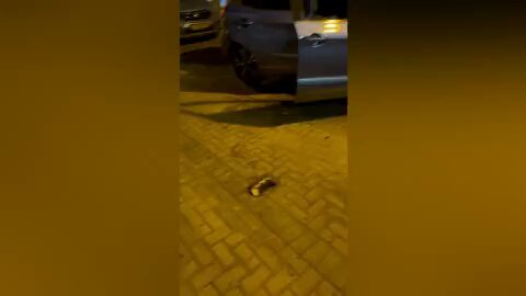 פוגרום הלילה ברחובות בבאר שבע: פורעים נאצים ערבים הגיעו לשכונת נחל בקע בעיר, מצויידים בגרזנים וכלים כבדים, והחלו לפוצץ כלי רכב, להרוס ולהשמיד, בחלק מהמקרים דווח גם על ניסיונות הצתה. תושבים מספרים על אימה ברחובות. הנאצים מרימים את הראש. הם מריחים דם יהודי חם והביל וזה עושה להם חשק. במיוחד כשהם רואים שהטרור משתלם ושום מחיר הם לא נדרשים לשלם.