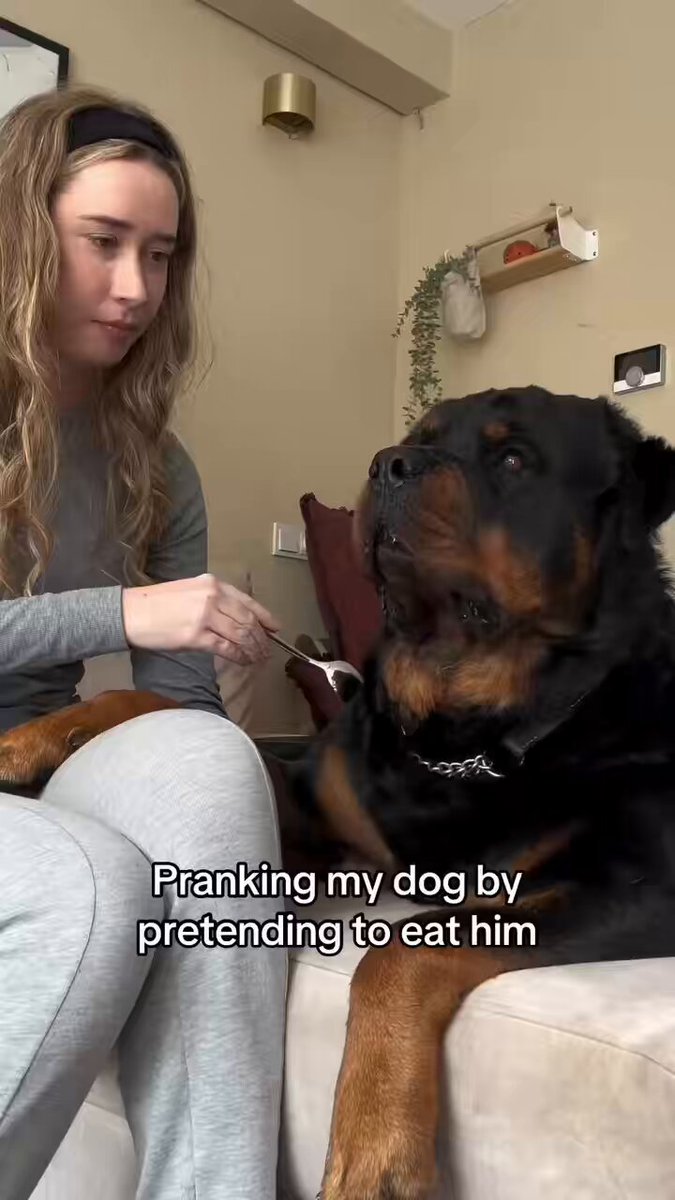 His faces are priceless 🤣😂