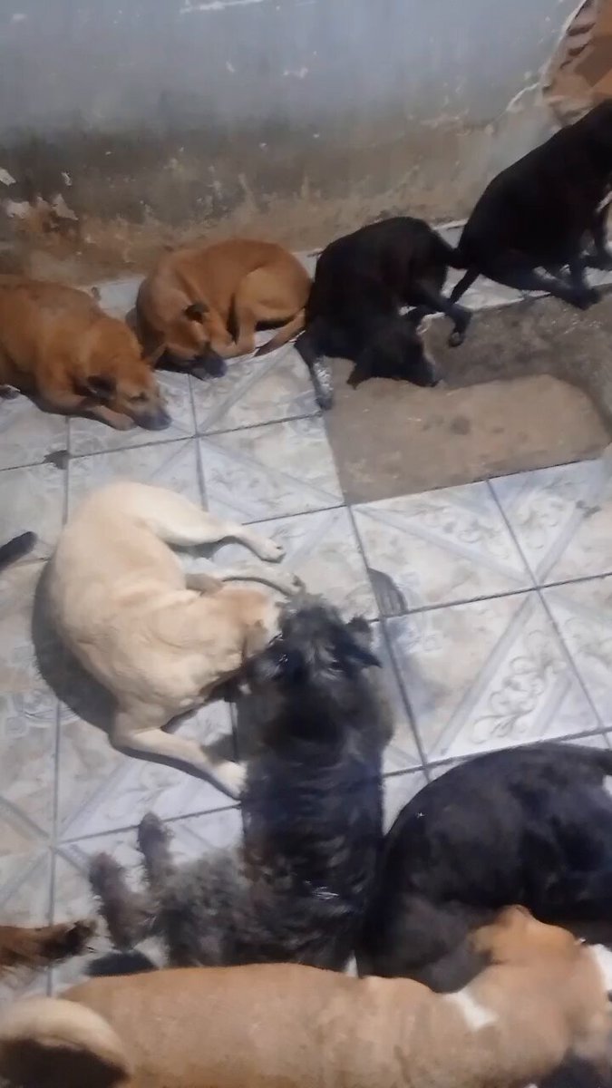 Infelizmente não vamos conseguir bater a meta até dia 31. Mas confio em Deus . Falta R$2.030
