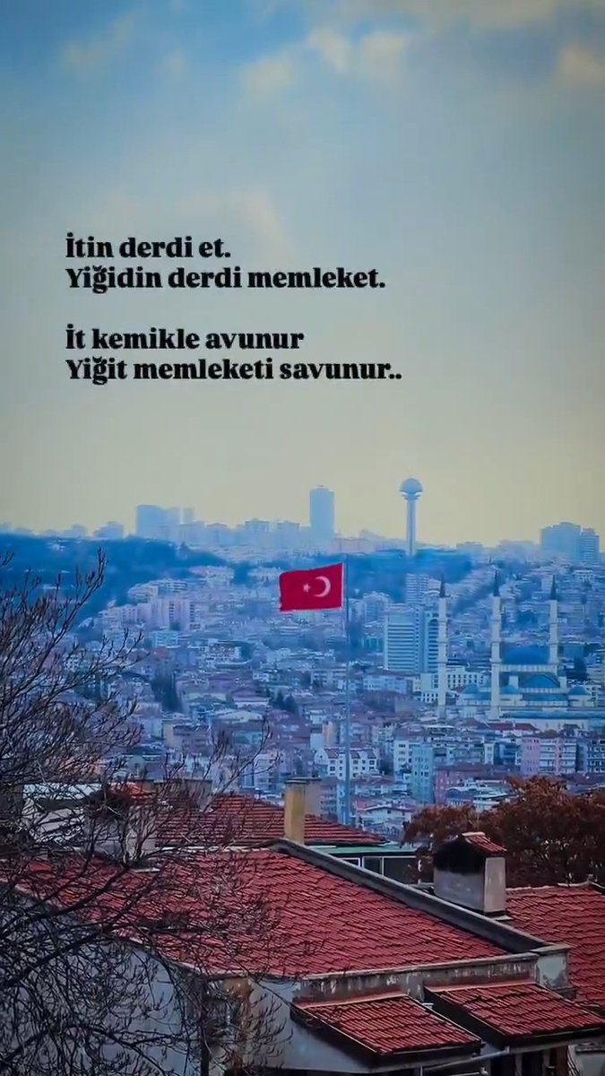 İTİN KAVGASI ET, YİĞİDİN KAVGASI DEVLET İÇİN OLUR. İT KEMİKLE AVUNUR, YİĞİT VATANINI SAVUNUR. 🇹🇷
