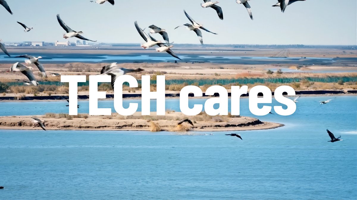 Every innovation by Huawei comes with responsibility. TECH cares by empowering talent, protecting nature, connecting the unconnected, and safeguarding communities with high-reliability networks. Because technology should care for people, communities, nature, and our future.