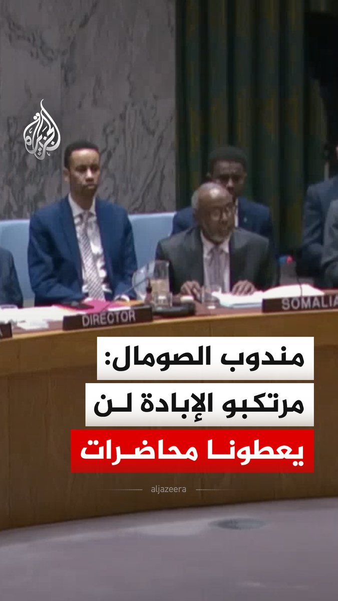 مندوب الصومال في كلمته بمجلس الأمن الدولي يقول ردا على كلمة مندوب إسرائيل، إن مرتكبي الإبادة الجماعية لا يجب أن يعظونا أو يعطونا محاضرات "في الإنسانية" #فيديو
