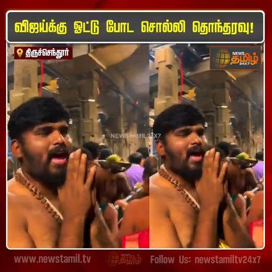 கோவிலில் ஒரு முட்டாள் அணில் குஞ்சு.
