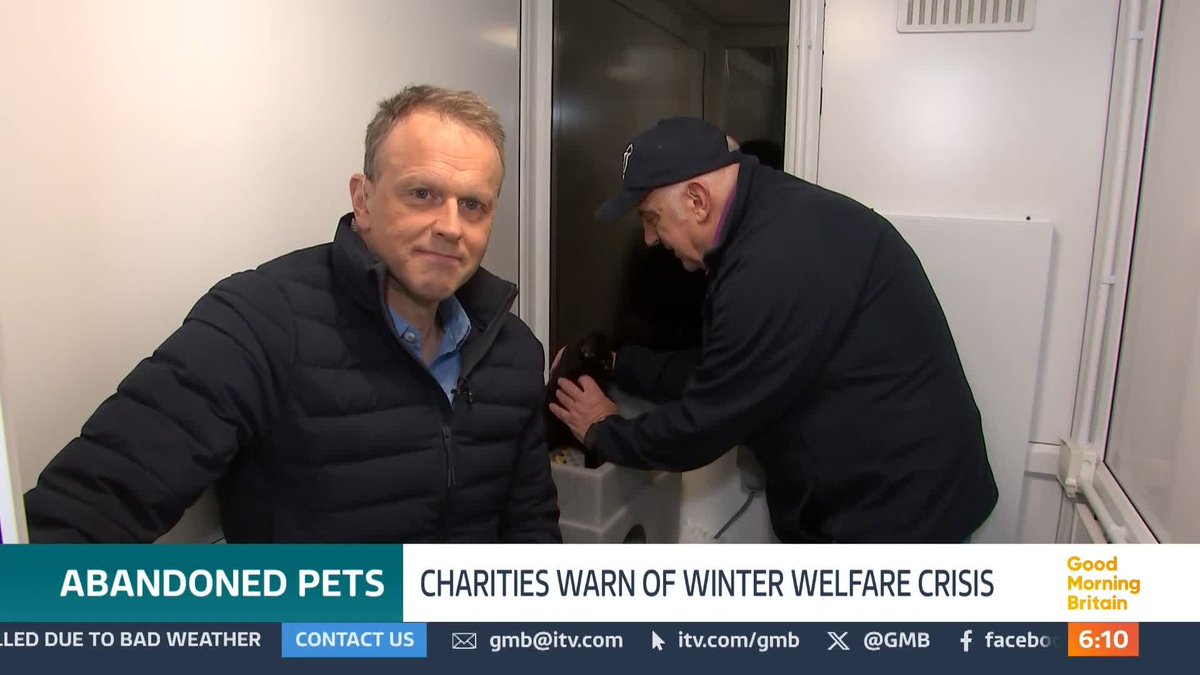 Animal charities are warning of a welfare crisis this winter. On Christmas Day, six kittens were dumped in an alleyway in Hull. Animal welfare groups say the number of pets being abandoned has reached the highest point in six years. Nick Dixon has more.