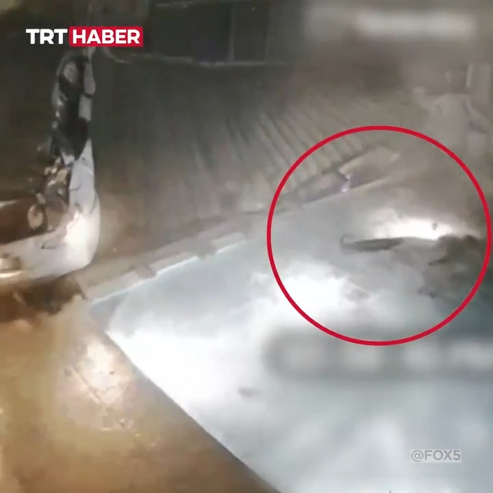 ABD'de sürücüsünün kontrolünden çıkan otomobil duvardan uçarak bir evin bahçesine daldı. Araçtan fırlayıp havuza düşen sürücü kazadan hafif yaralı kurtuldu.