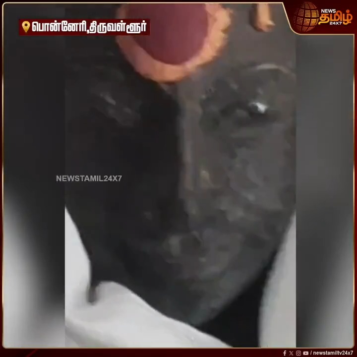 வருட கடைசியில் நடந்த அதிசயம்... கண்ணை திறந்து மூடிய முருகர்..!! #Tiruvallur #Murugan #MuruganTemple #ViralVideo #NewsTamil #Tamilnews #NewsTamil24x7