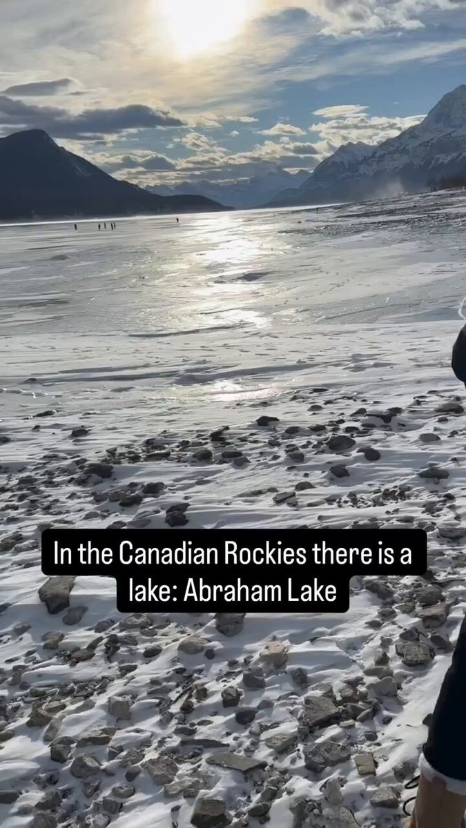 The magical frozen methane bubbles of Abraham Lake were an amazing sight to see. It was super windy and would have been frigid if not for the above average temperatures that day. Dogs, science, and natural wonder!